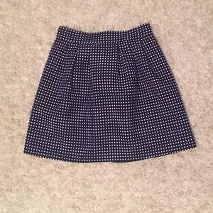 Pleated Skirt with Lining